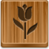 Tulip Icon Image