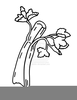 Celery Stalk Clipart Image