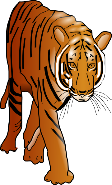 animated pics of tigers. Color Tiger