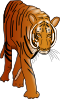 Color Tiger Clip Art