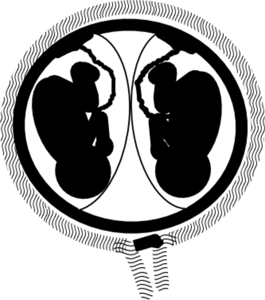 free clipart baby in womb - photo #47