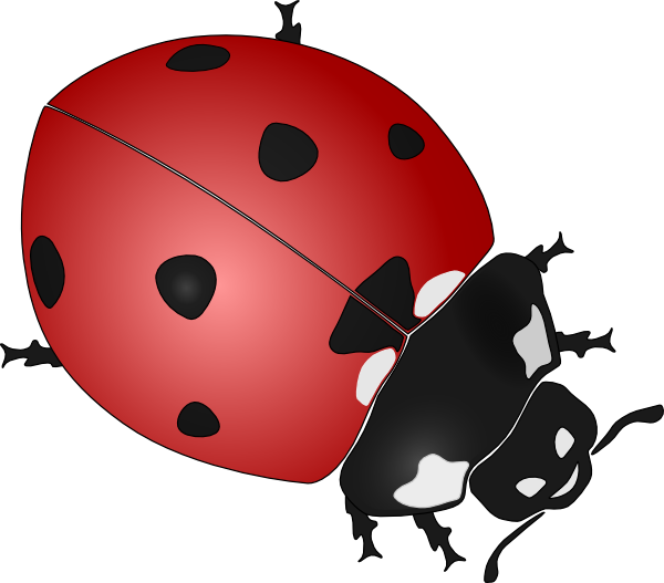 clipart ladybug - photo #9