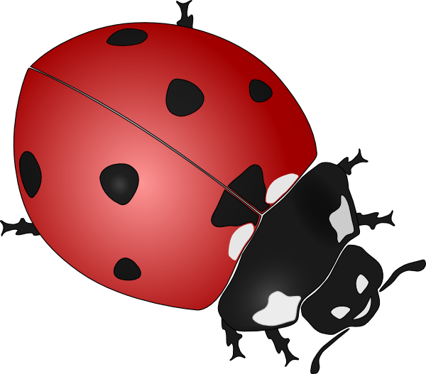 Ladybug clip art