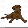 Chocolate Lab Puppy Clipart Image