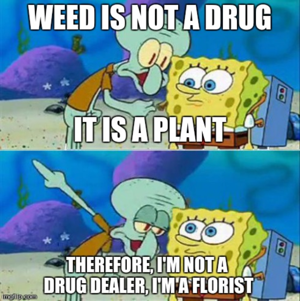 spongebob weed plant