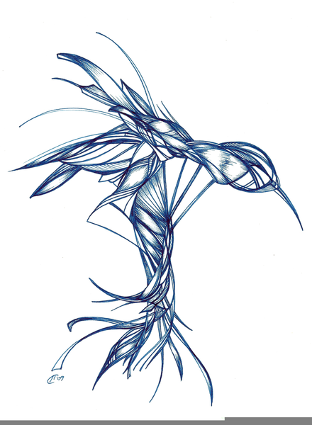 abstract hummingbird sketch free