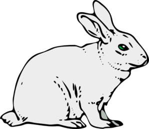 rabbit clip