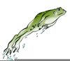 Free Clipart Frogs Jumping Image