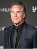 Don Johnson Image