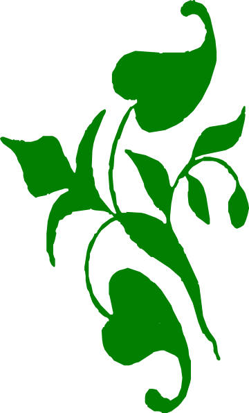 clipart of vines - photo #23
