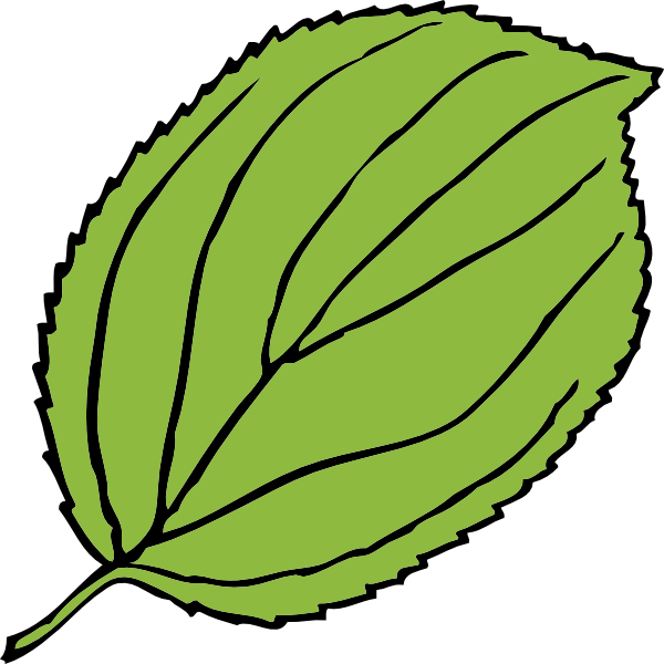 cartoon leaf clip art - photo #19