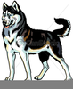 Husky Logo Clipart Image