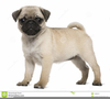 Puppies Clipart Free Image