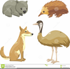 Animals Australia Clipart Image