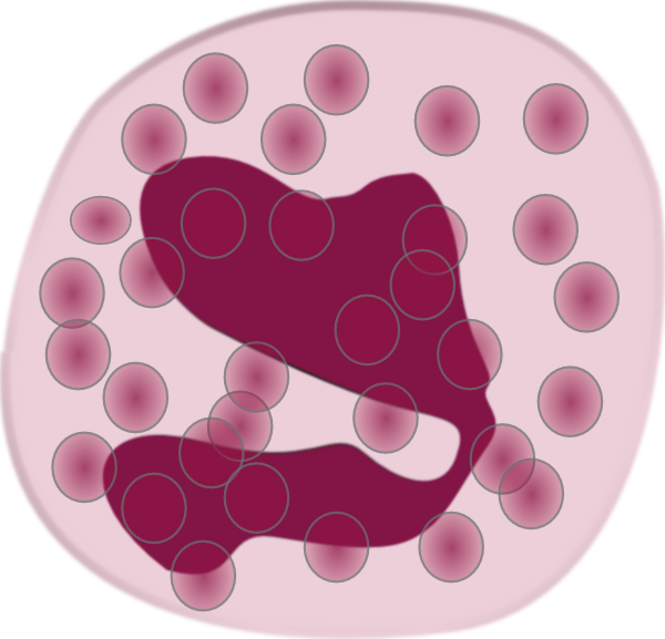 clipart blood cells - photo #33