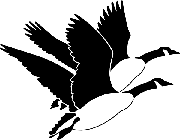 goose clipart black and white - photo #4
