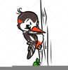 Animated Woodpecker Clipart Image