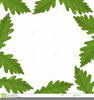 Free Fall Leaf Border Clipart Image