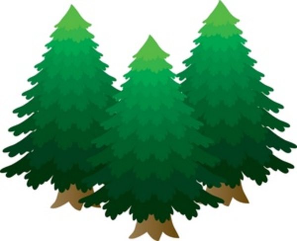 A Group Of Pine Trees Smu | Free Images at Clker.com - vector clip art