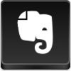 Evernote Icon Image