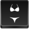 Bikini Icon Image