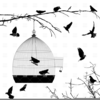 Birdcage Clipart Free Image