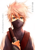 Kid Sasori Image