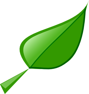 Clip Art Leaf