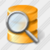 Icon Database Search 5 Image
