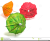 Tropical Drink Umbrellas Image