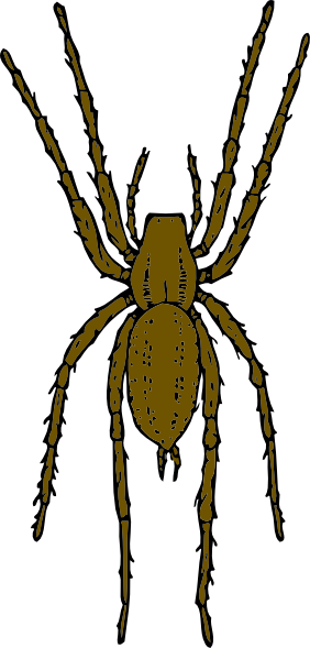 clipart spider - photo #27