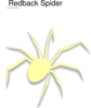 Spider Clip Art