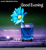 Have A Nice Evening Clipart Image