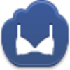 Bra Icon Image