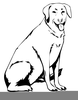 Clipart Black Lab Image