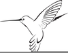 Hummingbird Cartoon Clipart Image