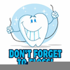 Teeth Clipart Free Pictures Image