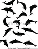 Clipart Pictures Of Dolphins Image