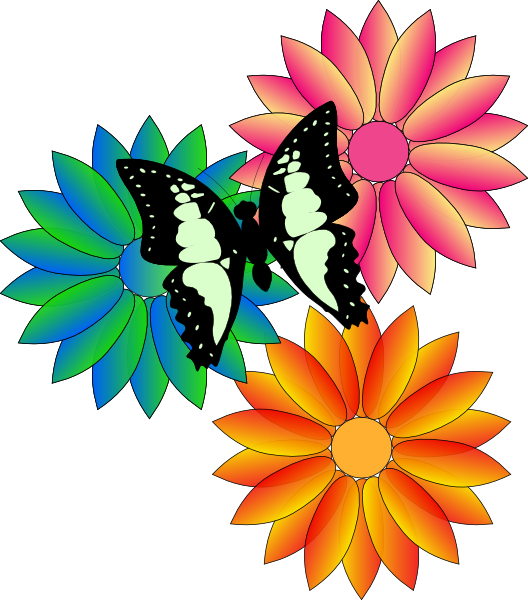Butterfly And Flowers Butterfly And Flowers