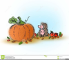 Pumpkin Leaves Clipart Image
