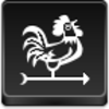 Weathercock Icon Image