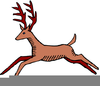 White Tail Deer Clipart Image