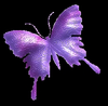 Forgotten Innocence Butterfly Image Image