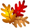 Bladeren Clipart Van De Boom Van De Herfst De Eiken Image