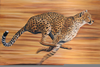 African Cheetah Running Image