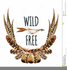 Bird Feathers Clipart Image