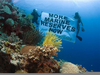 Marine Reserves Image