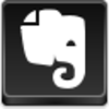 Evernote Icon Image