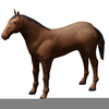 Free Animated Clipart Horses Image