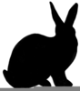 Free Dutch Rabbit Clipart Image